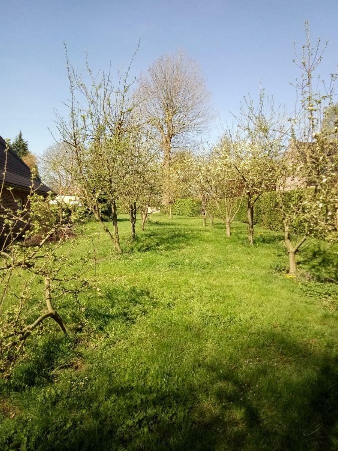 Gite Du Montagnard Oxelaere Luaran gambar