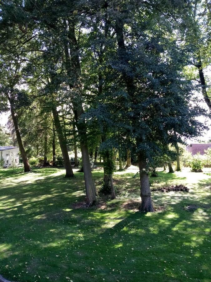 Gite Du Montagnard Oxelaere Luaran gambar